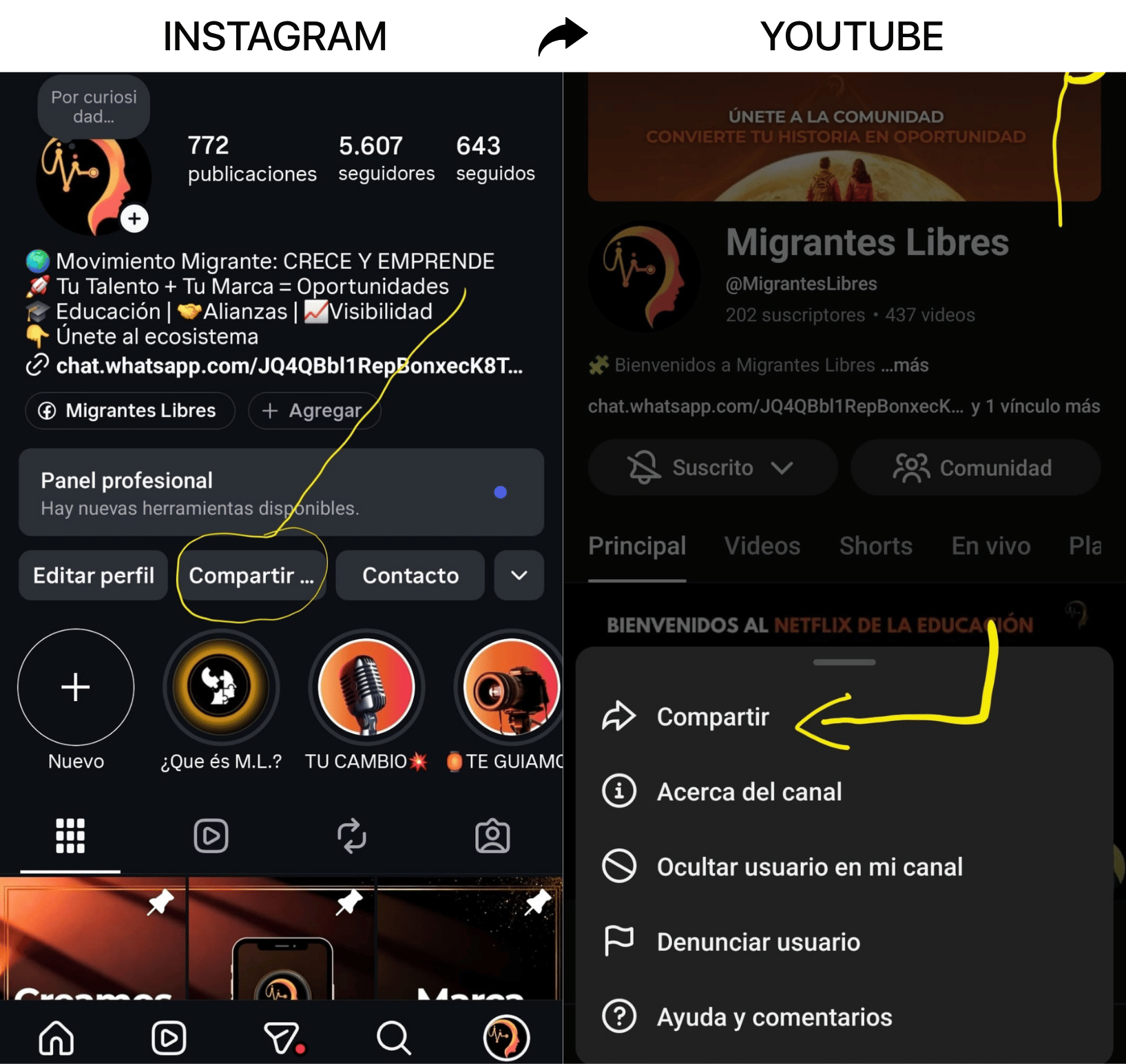 Ejemplo de cómo copiar la URL
